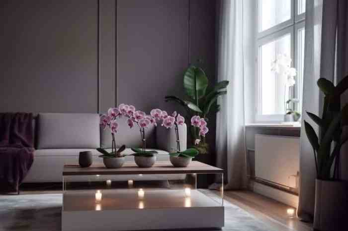 How to decorate dining room with orchids