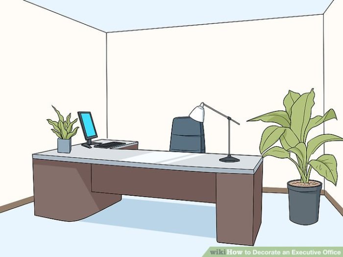 How to decorate executive office